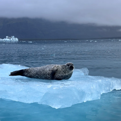 冰岛雷克雅未克+黄金旅游圈+蓝湖+米湖+阿克雷里11日10晚拼小团