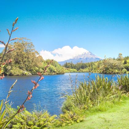 新西兰奥克兰+罗托鲁瓦9日7晚自由行