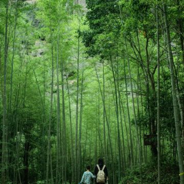 三明+金湖+寨下大峡谷+九龙潭+上清溪2日1晚私家团