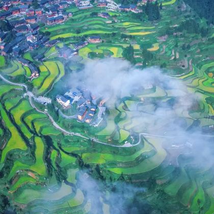 贵州黔东南+凯里+雷山+肇兴侗寨+加榜梯田6日5晚私家团