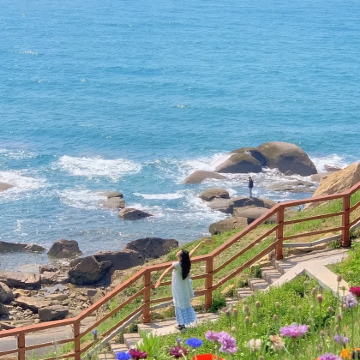 青岛3日2晚拼小团