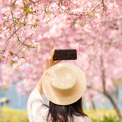 武汉+黄鹤楼+东湖生态旅游风景区3日2晚私家团