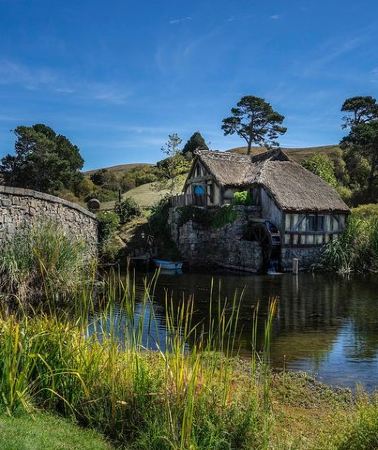 4D3N • 4Day/3Nights Wellington to Auckland Tour