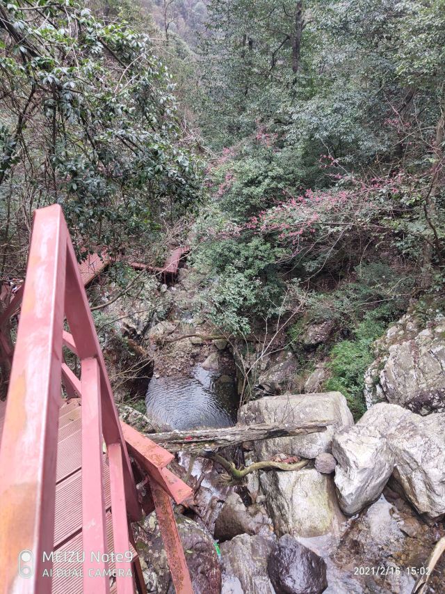 屏山悬索玻璃桥旅行图片 6
