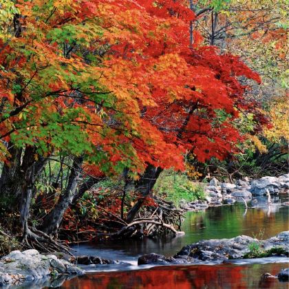 沈阳+本溪+盘锦4日3晚拼小团