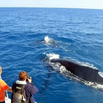 斯里兰卡5日4晚私家团