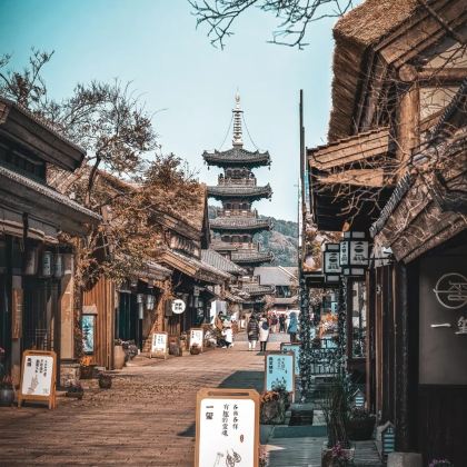 上海+乌镇+杭州+苏州+无锡+南京10日9晚私家团