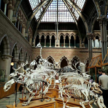 英国伦敦+剑桥+牛津12日11晚私家团