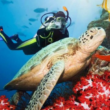 斯里兰卡科伦坡+贾夫纳+亭可马里+康提+努沃勒埃利耶+美蕊沙+加勒14日13晚私家团