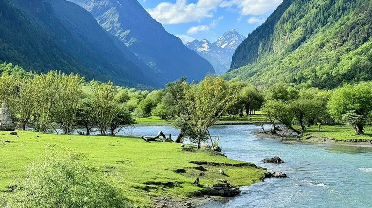 【成都出发】成都+九寨沟+乐山+峨眉山+四姑娘山景区+青城山9日8晚私家团