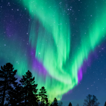 哈尔滨+漠河+龙江第一湾风景区+北红村+北极村6日5晚拼小团