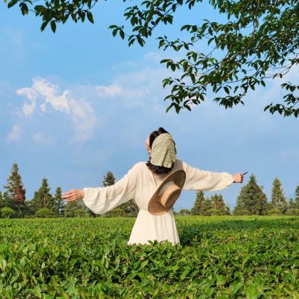 普洱5日4晚私家团