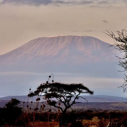 肯尼亚马赛马拉国家公园+纳库鲁湖国家公园+奈瓦沙湖+地狱之门国家公园+安博塞利四大国家公园8日7晚跟团游