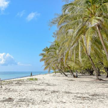肯尼亚马赛马拉国家保护区+蒙巴萨8日6晚私家团