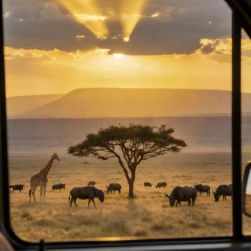 肯尼亚+坦桑尼亚10日9晚私家团