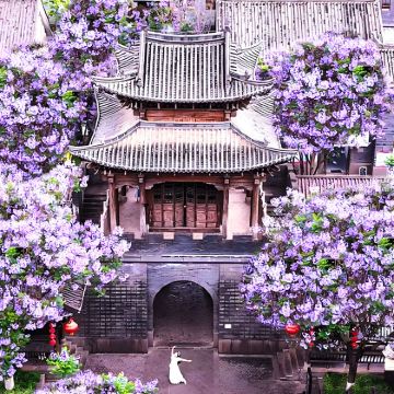 云南昆明+巧家+西昌+攀枝花+元谋6日5晚拼小团