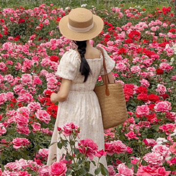 西安5日4晚私家团