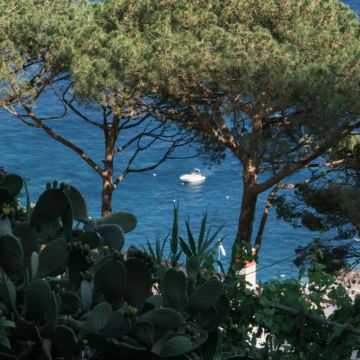 罗马+阿马尔菲+索伦托+马泰拉+巴里+阿尔贝罗贝洛+科森扎+那不勒斯+卡普里岛9日8晚拼小团