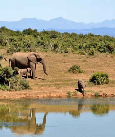 2D1N • 2 Days Akagera Wilderness Safari Big 5 and Highest Peak Camping