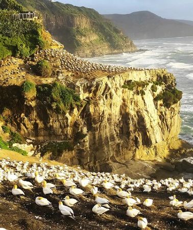 12D11N • 12 Day New Zealand Private Tour from Auckland to Queenstown