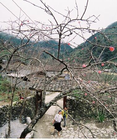 3D2N • Sapa Hanoi 3 Days Trip