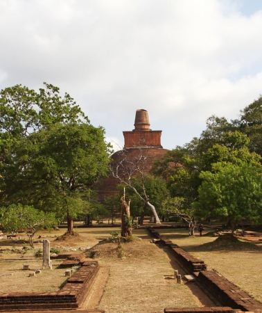 8D7N • Sri Lanka Private 8-day Tour All Inclusive