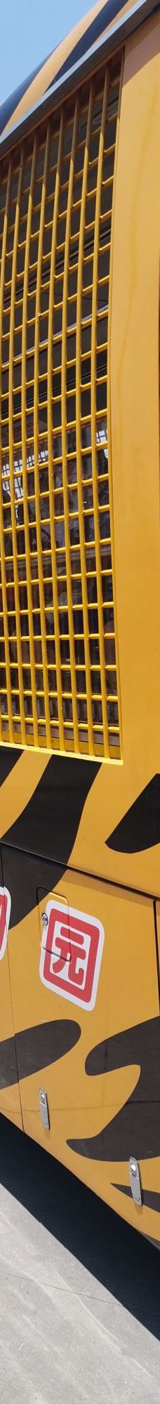 上海野生动物园-上海