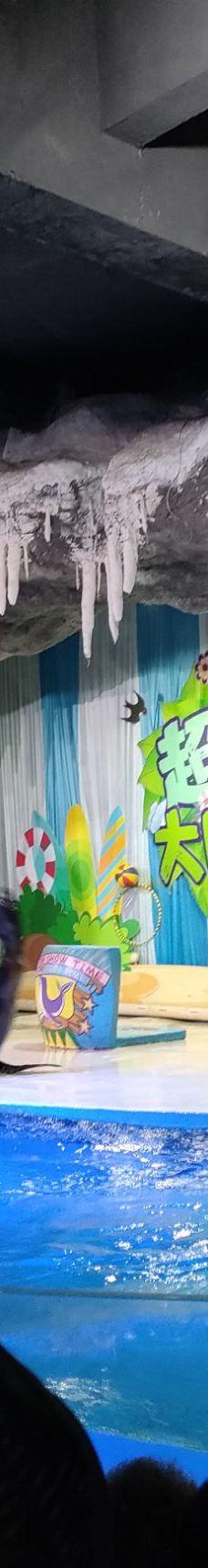 郑州海洋馆-郑州