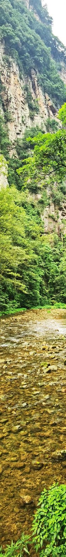 张家界国家森林公园-张家界