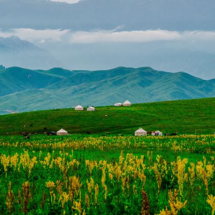 新疆北疆+赛里木湖+那拉提草原+喀拉峻景区7日6晚自由行