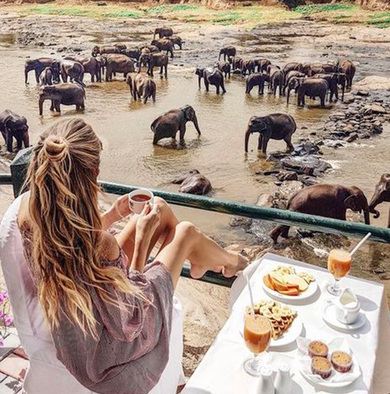 斯里兰卡尼甘布+康提+科伦坡8日6晚拼小团