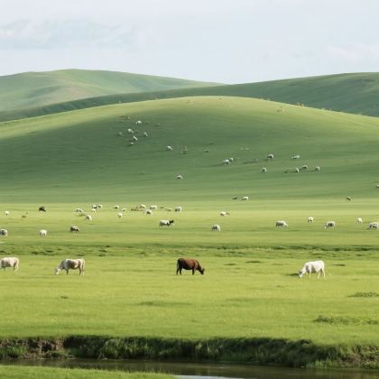 内蒙古包头+希拉穆仁草原+库布齐沙漠2日1晚跟团游