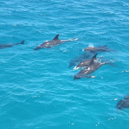 埃及开罗+卢克索+赫尔格达6日4晚私家团