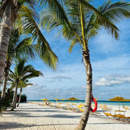 坦桑尼亚+塞伦盖蒂国家公园+恩戈罗恩戈罗火山口+桑给巴尔岛12日10晚拼小团