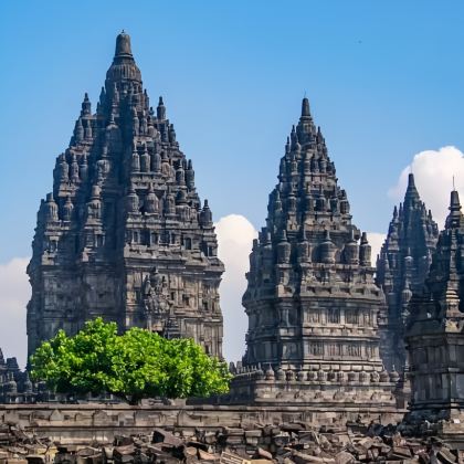 印度尼西亚雅加达+万隆+三宝垄+日惹+梭罗+泗水+巴厘岛+科莫多17日16晚私家团