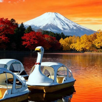 日本东京+富士山5日私家团