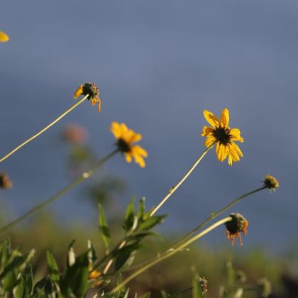 美国华盛顿+纽约+波士顿8日7晚私家团