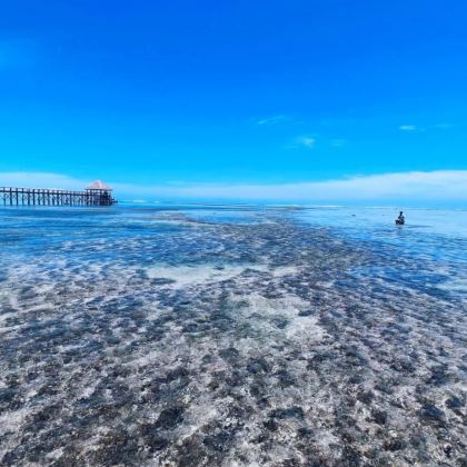 斐济8日7晚跟团游