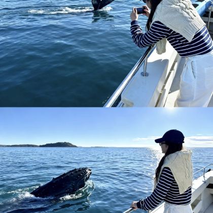 新西兰皇后镇+格林诺奇+箭镇+瓦纳卡+特卡波湖+库克山+基督城8日7晚拼小团