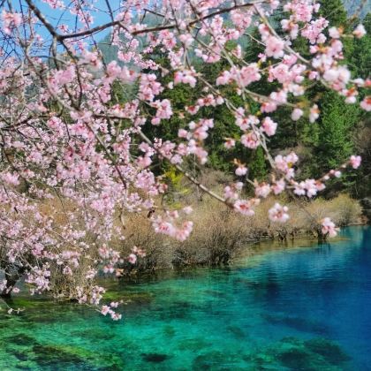 九寨沟+黄龙风景名胜区3日2晚私家团