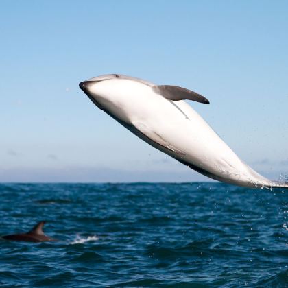 巴厘岛4日3晚私家团