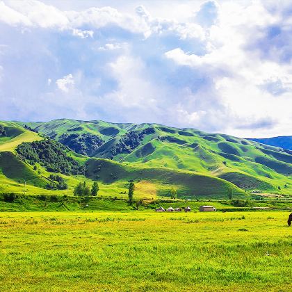 新疆北疆+伊犁+那拉提旅游风景区+赛里木湖5日4晚拼小团