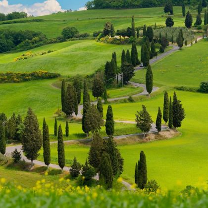 意大利9日8晚私家团