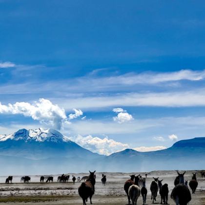利马省+库斯科大区+圣谷6日5晚私家团