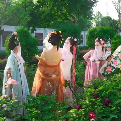 洛阳龙门石窟+白马寺+老君山景区+少林寺4日3晚私家团