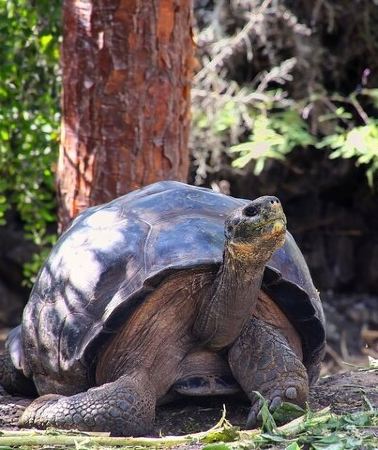 4D3N • 4 Day Galapagos Complete Experience Extra Night