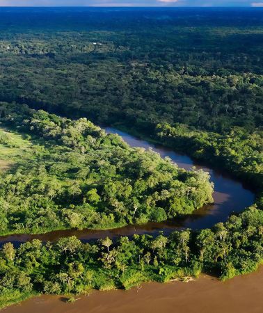 3D2N • Deep Exploration Journey of the Brazilian Amazon Rainforest