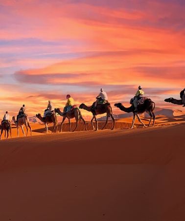 2D1N • 2-Day Tunisia Sahara Desert Camel Trek from Douz