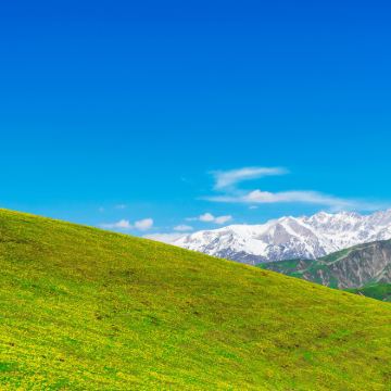 新疆乌鲁木齐9日8晚私家团