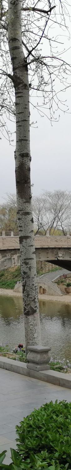 赵州桥-赵县